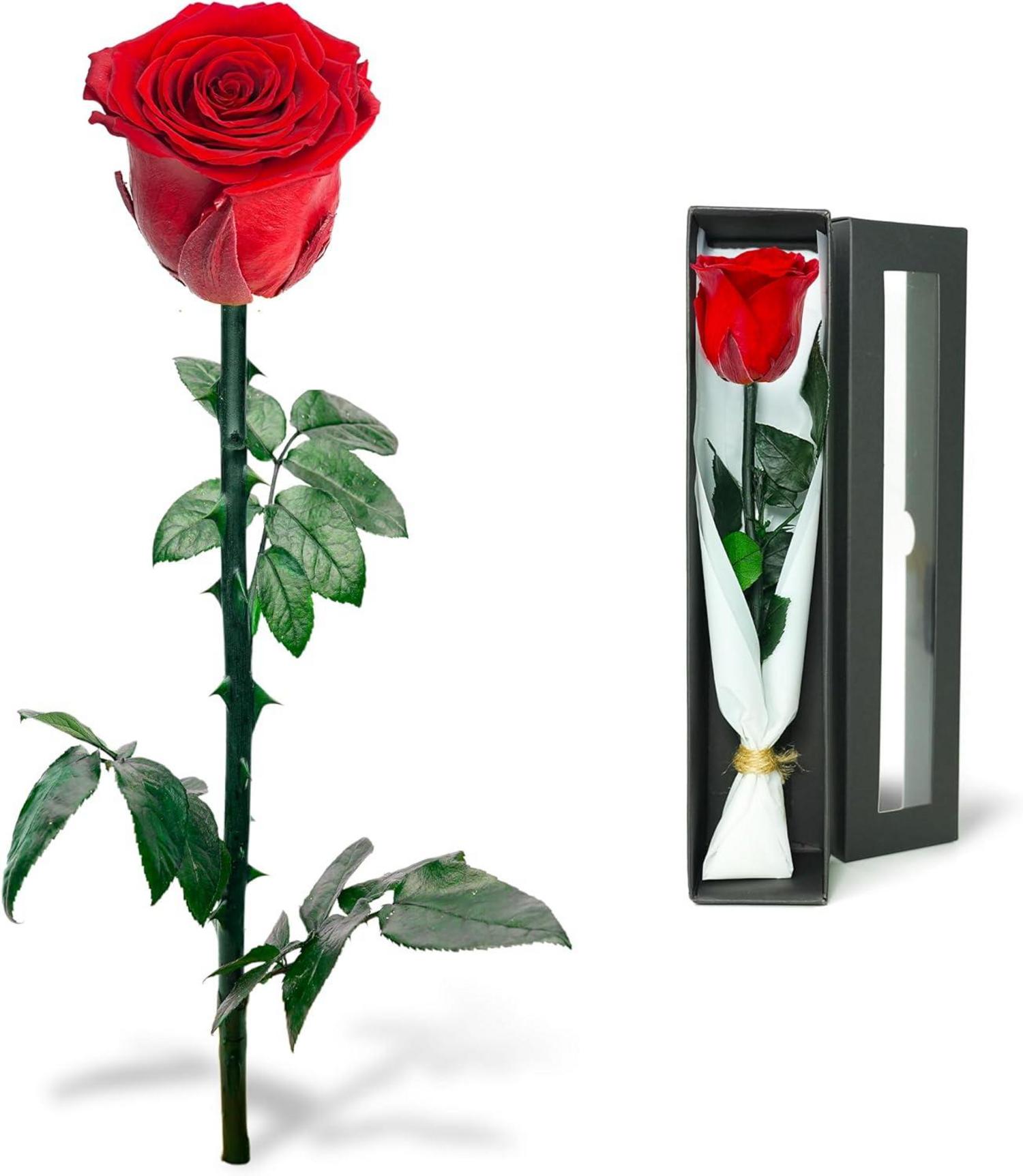Ewige Rose in Rosenbox - Konservierte Blume für Frauen
