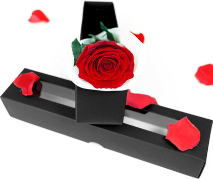 Naunauya Infinity Rose - Konservierte Rose in Rosenbox