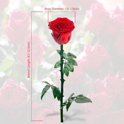 Ewige Rose in Rosenbox - Konservierte Blume für Frauen