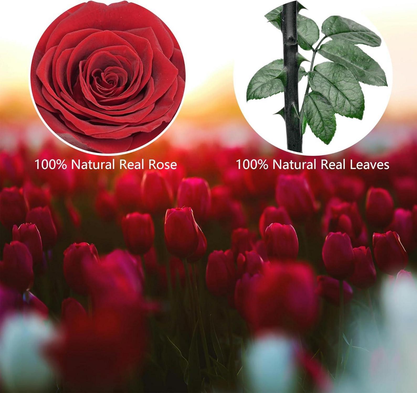 Naunauya Infinity Rose - Ewige Rose in Rosenbox, Konservierte Blume mit Ewigkeitsgarantie