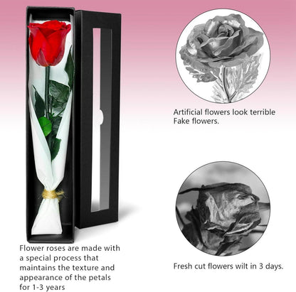 Infinity Rose - Konservierte Rose in Rosenbox, Haltbare Blume