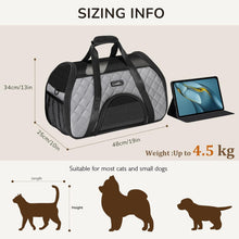 Pecute Katzentransporttasche Flughafen Mode Grau