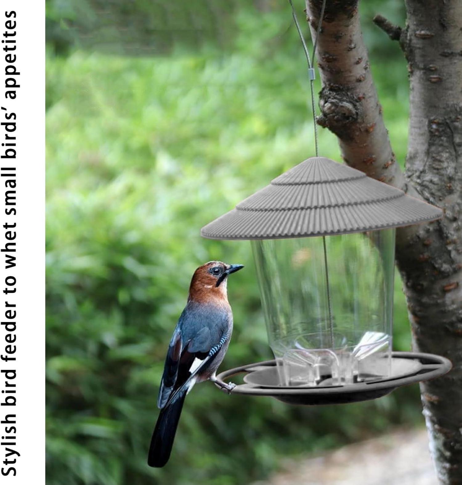Vogelfutterspender Wetterfest Vogelhaus Aufhängen Transparent 1,4kg