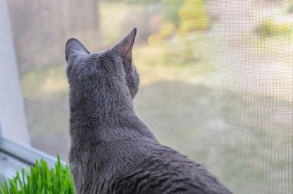 Fliegengitter Fenster 200x150 cm Anti Mücken Fliegen Insektenschutz Meterware