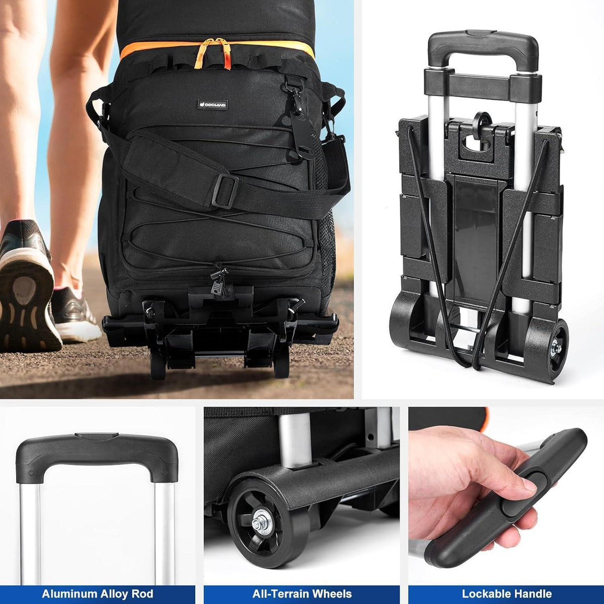 Große Kühltasche auf Rollen – 72 Liter für Picknick & Camping