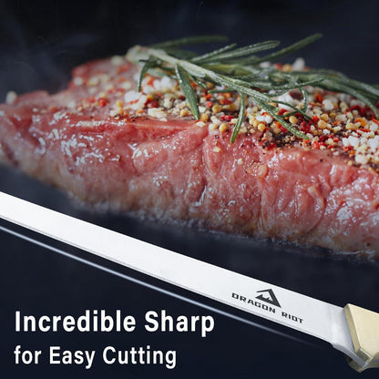 DRAGON RIOT Filetiermesser Fisch 18.5 CM Anti-Rutsch-Griff & Scheide
