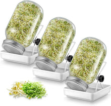 Sprossen Keimglas Set Sprouting Jar Filterdeckel Edelstahl Ständer