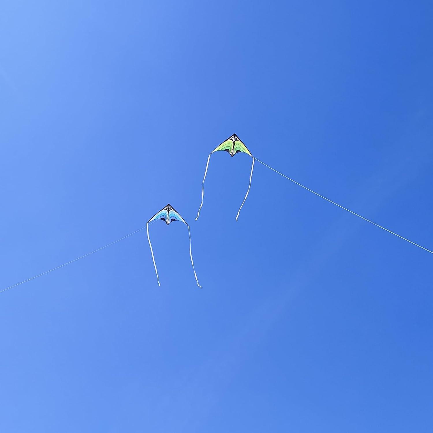 Simxkai Delta Kite for Kids and Adults - Easy to Fly - Beginners Toddlers - Green