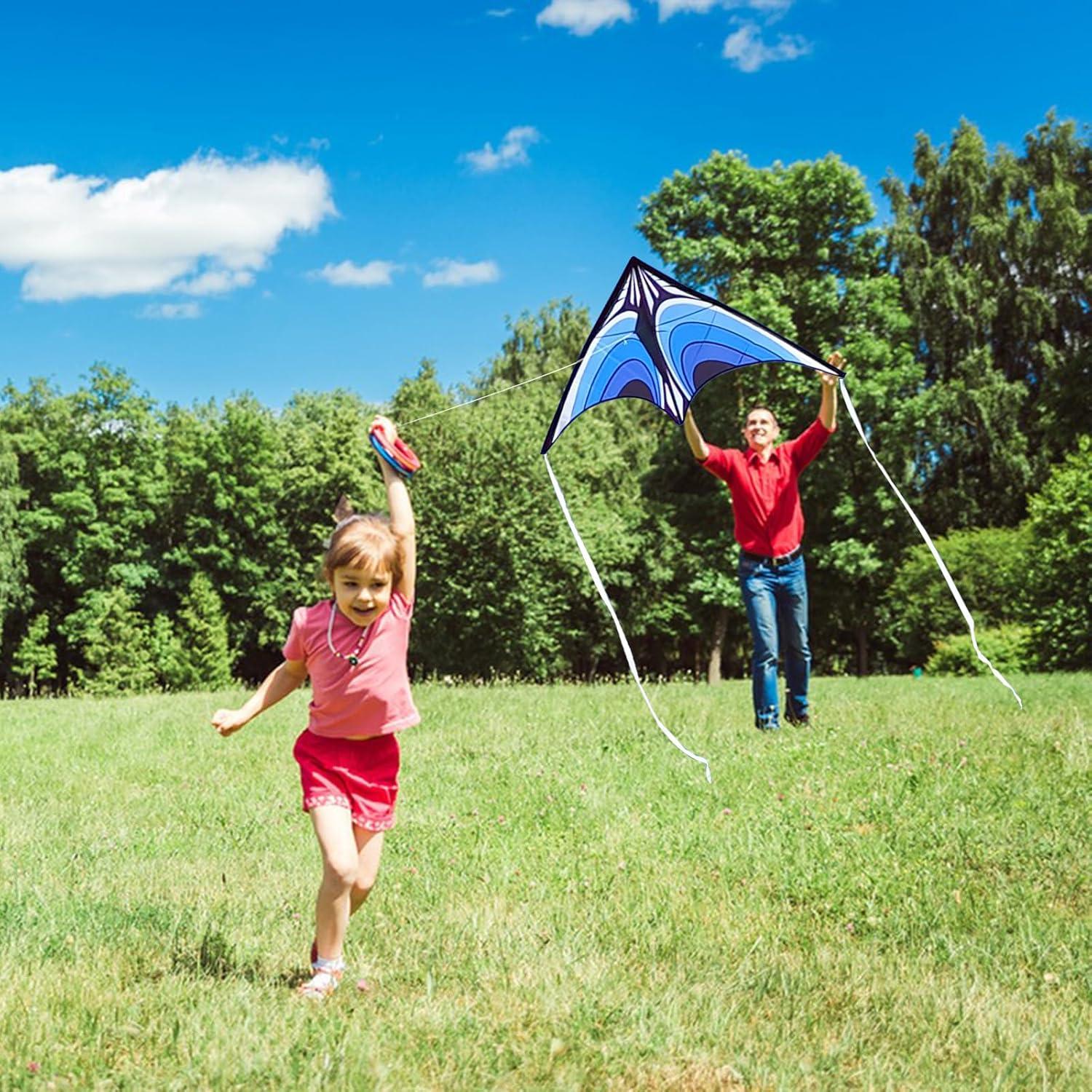 Kite for Kids & Adults Easy-to-Fly Delta Kite Beginners Blue