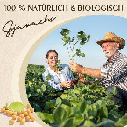 20kg Sojawachs für Kerzen – Premium Qualität & Nachhaltig
