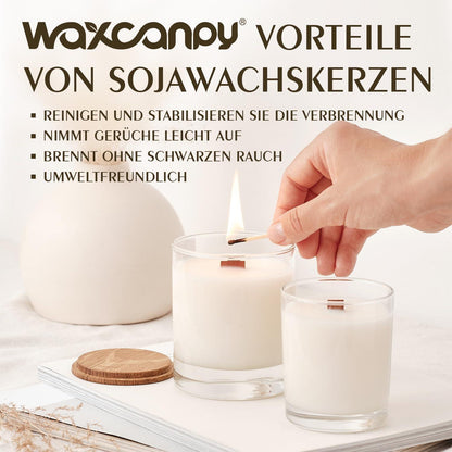 20kg Sojawachs für Kerzen – Premium Qualität & Nachhaltig