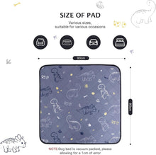 Welpenunterlagen Waschbar Dinosaurier Design Grau 80x90cm 2