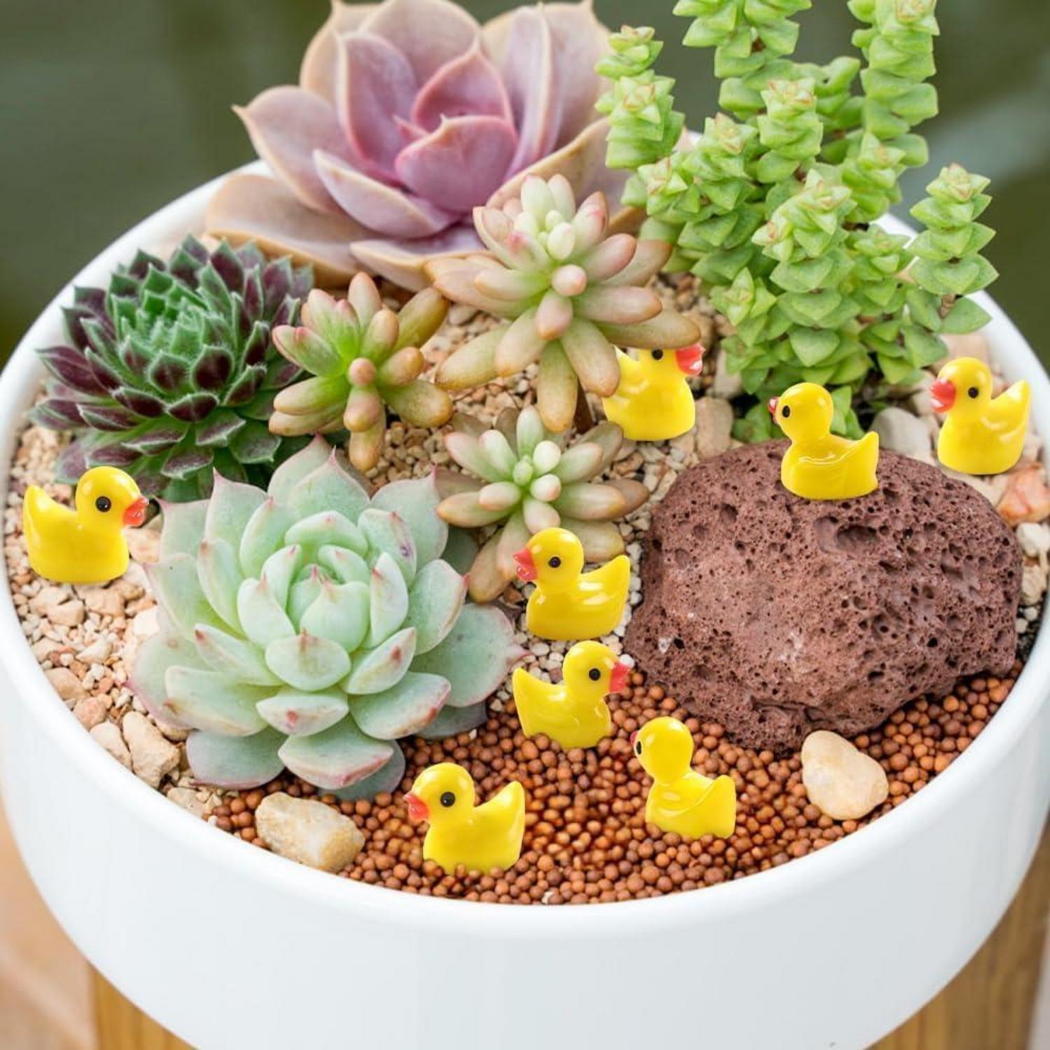 120er Set Miniatur Enten gelb Harz DIY Deko für Aquarium Bonsai Landscaping