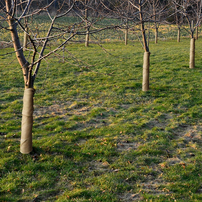 Purple Star Baum Winter Schutz 6Mx40CM Jute Pflanzen Frost Feuchtigkeit