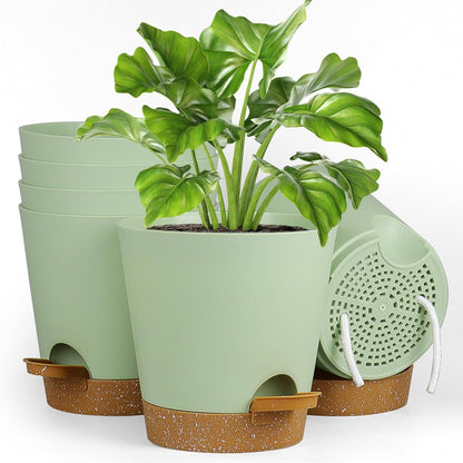 6er Set Selbstbewässernde Pflanzentöpfe 15.2cm Grün-Braun