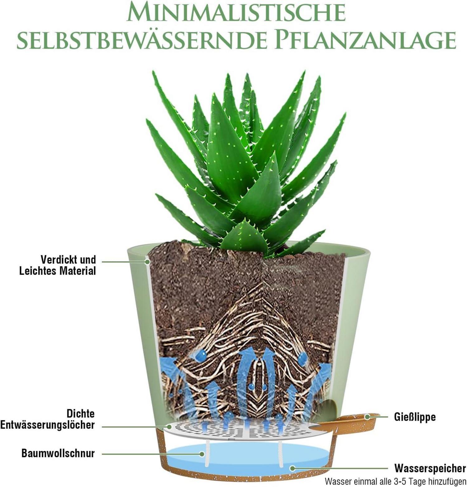 6er Set Selbstbewässernde Pflanzentöpfe 15.2cm Grün-Braun
