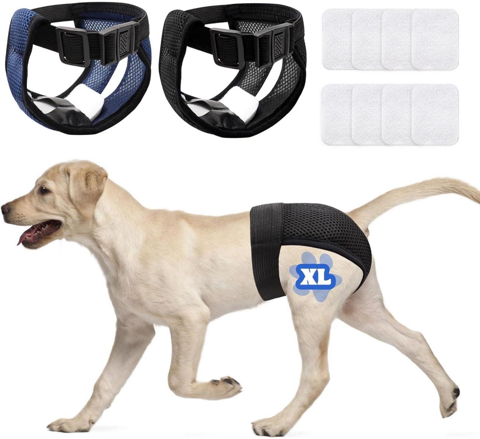 2er Pack Wiederverwendbare Hundewindeln für Hündinnen mit 8