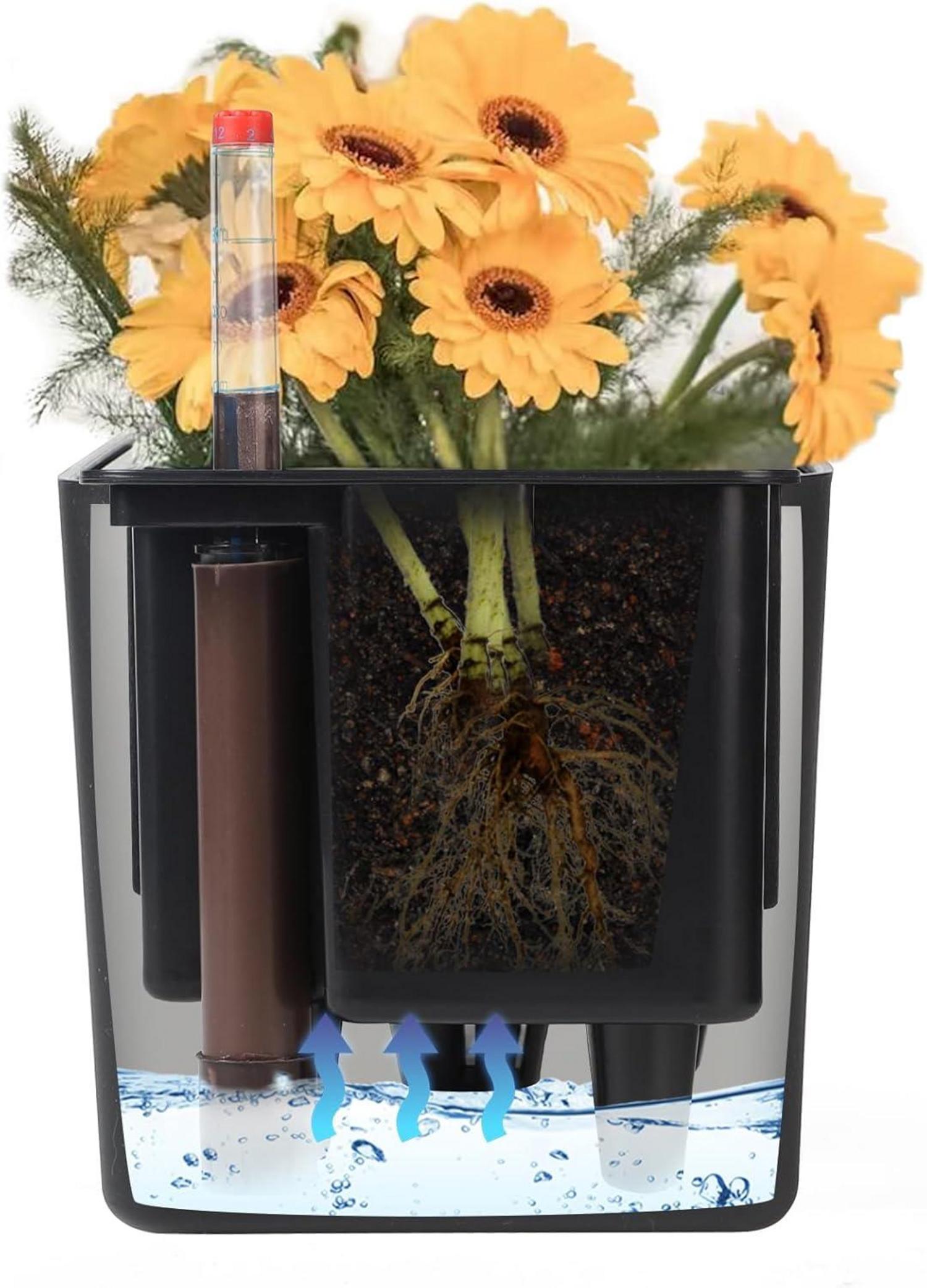 Selbstbewässernder Blumentopf Rechteckig mit Wasserstandsanzeigen