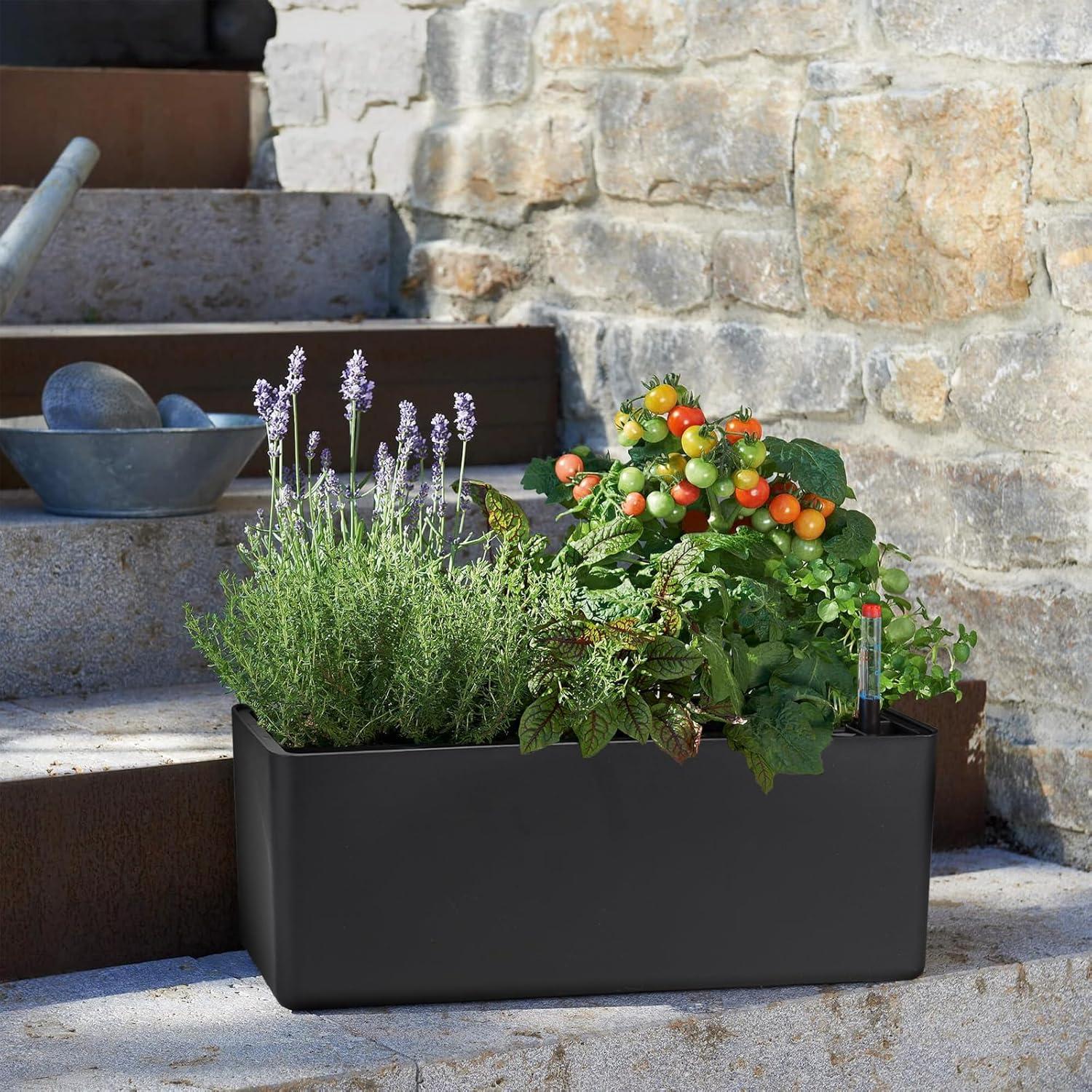 Selbstbewässerung Blumentopf Rechteckig mit Wasserstandsanzeigen