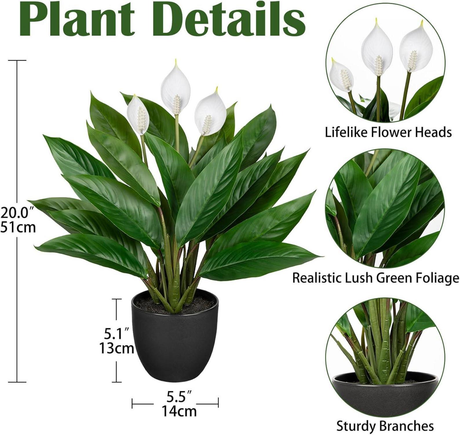 Künstliche Calathea Dekopflanze 43cm grün im Kunststofftopf