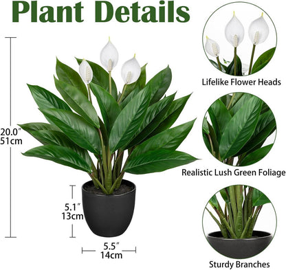Künstliche Calathea Dekopflanze 43cm grün im Kunststofftopf