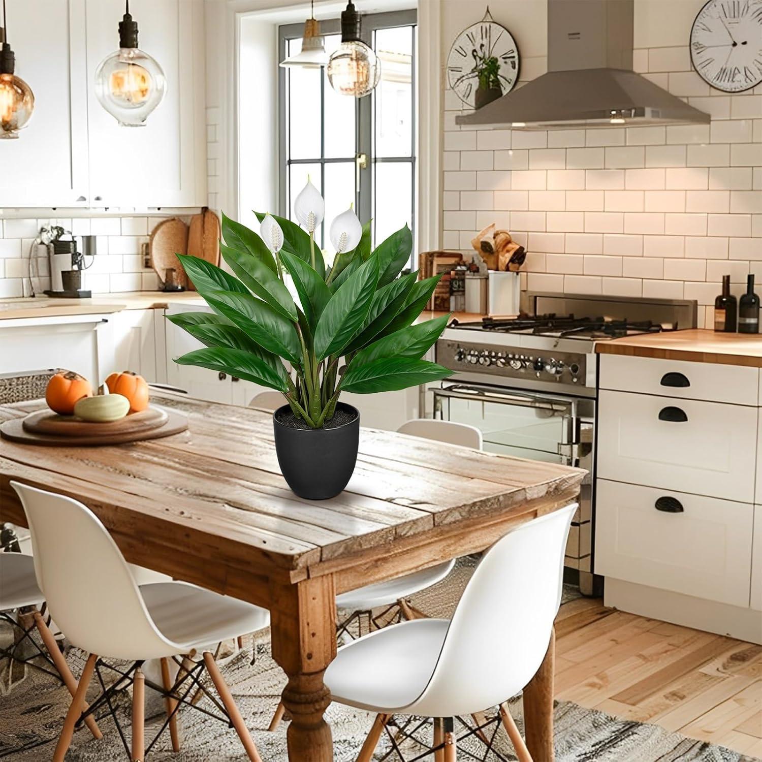 Künstliche Calathea Kunstpflanze 43cm Grün im Kunststofftopf