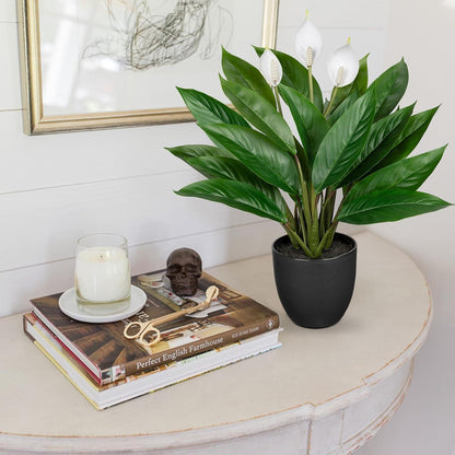 Künstliche Calathea Pflanze 43cm Grün Kunstpflanze Deko Topf verbessert