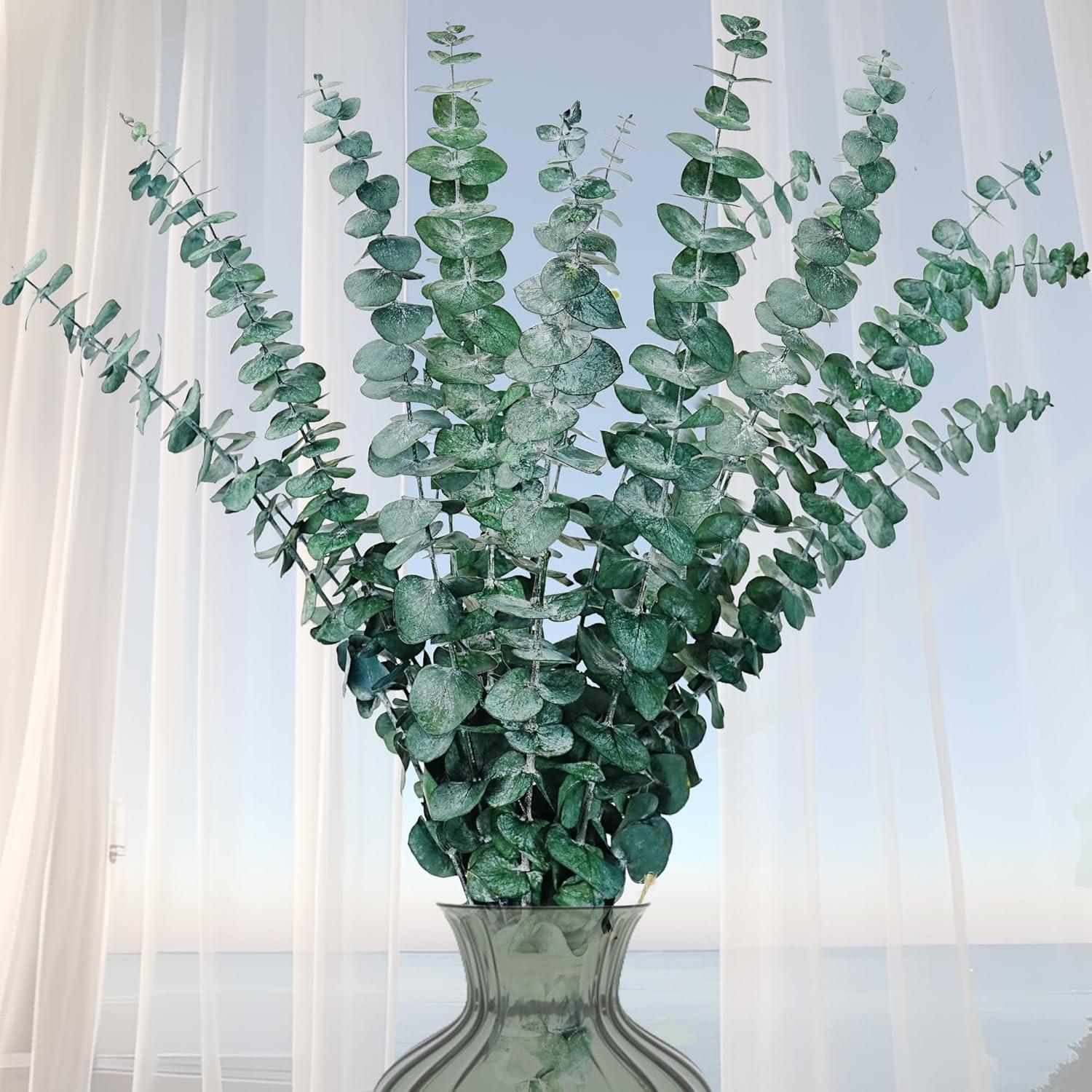Getrockneter Eukalyptus Trockenblumen für Hochzeit & Deko