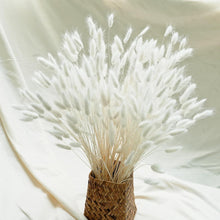 Pampas White Trockenblumen Set 120-teilig - Hochzeits & Hausdekoration