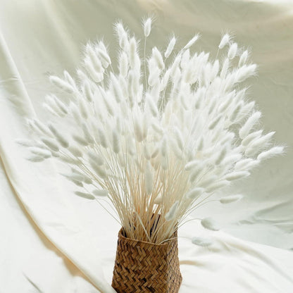 Pampas White Trockenblumen Set 120-teilig - Hochzeits & Hausdekoration