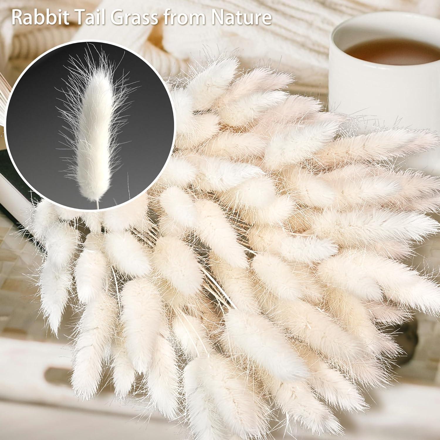Pampas White Trockenblumen Hochzeitsdekoration Beige Herbsttöne