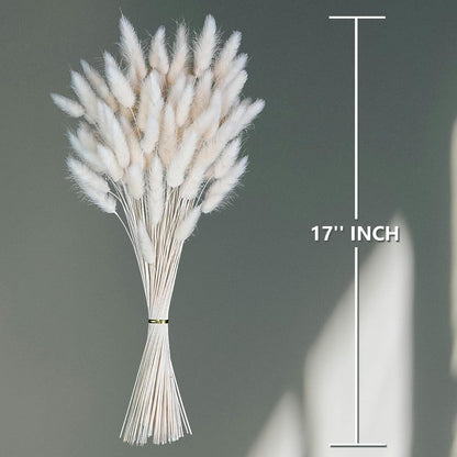 120 PCS Trockenblumen Pampasgras Strohblumen in Weiß Beige Herbst