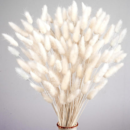 Pampas Trockenblumen Set 120 Stück Herbst Hochzeit Deko Weiß Beige