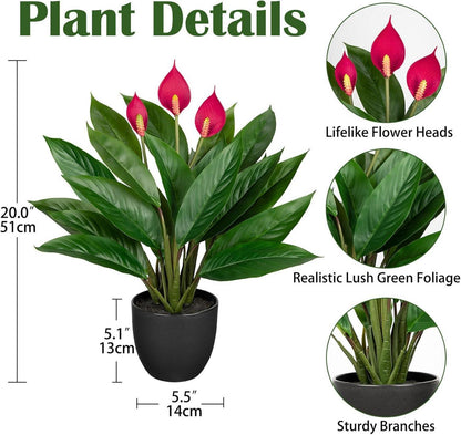 Künstliche Calathea Kunstpflanze 43cm Grün 22 Blätter im