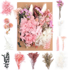 Getrocknete Trockenblumen Set Basteln Dekoration DIY Scrapbooking