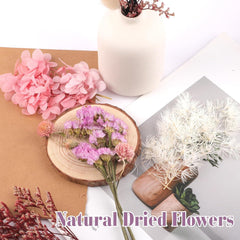 Trockenblumen Set Natürliche Getrocknete Blumen DIY Basteln