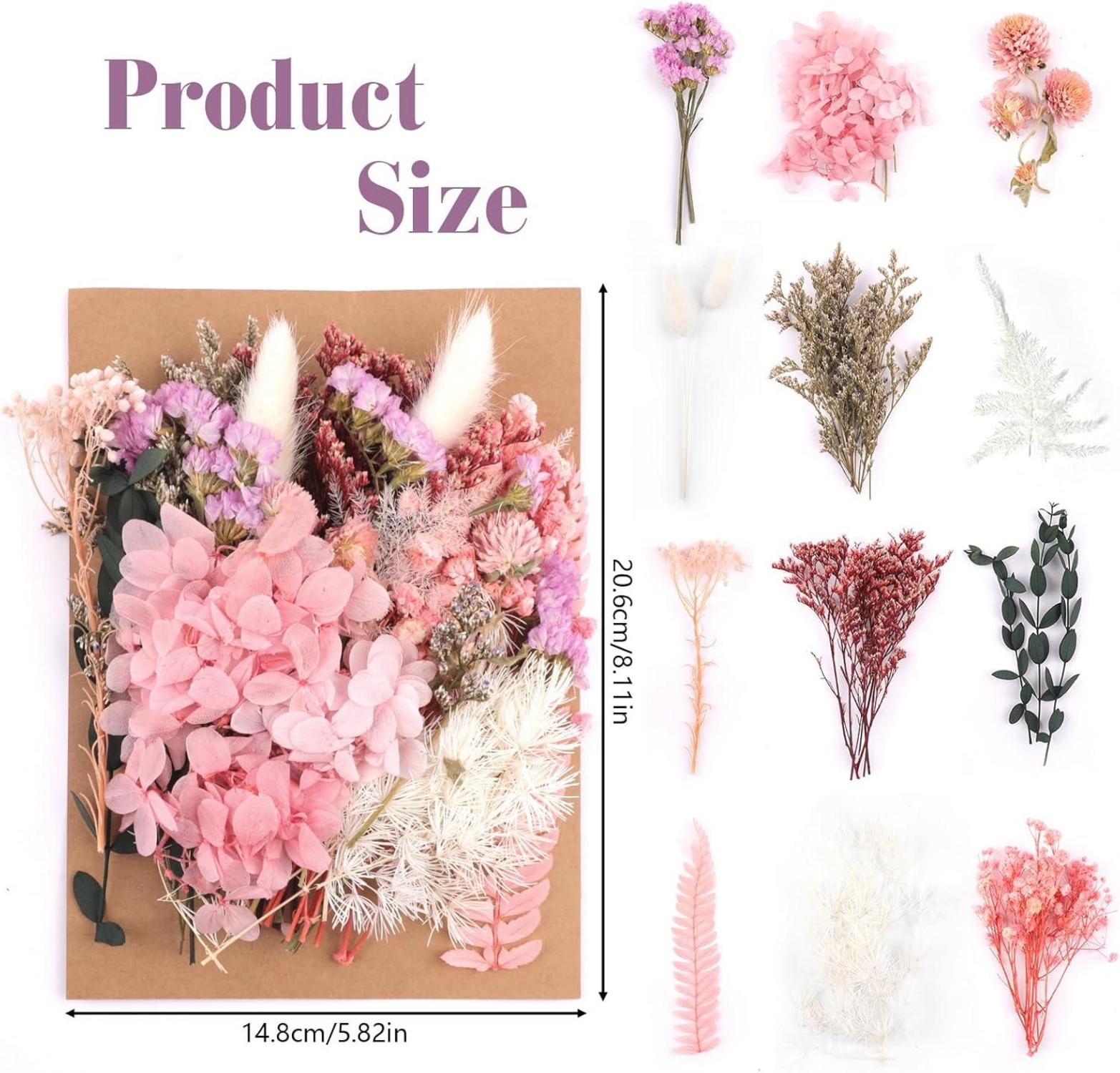 Getrocknete Trockenblumen Natur Gemischt DIY Basteln Scrapbook Zubehör Rosa