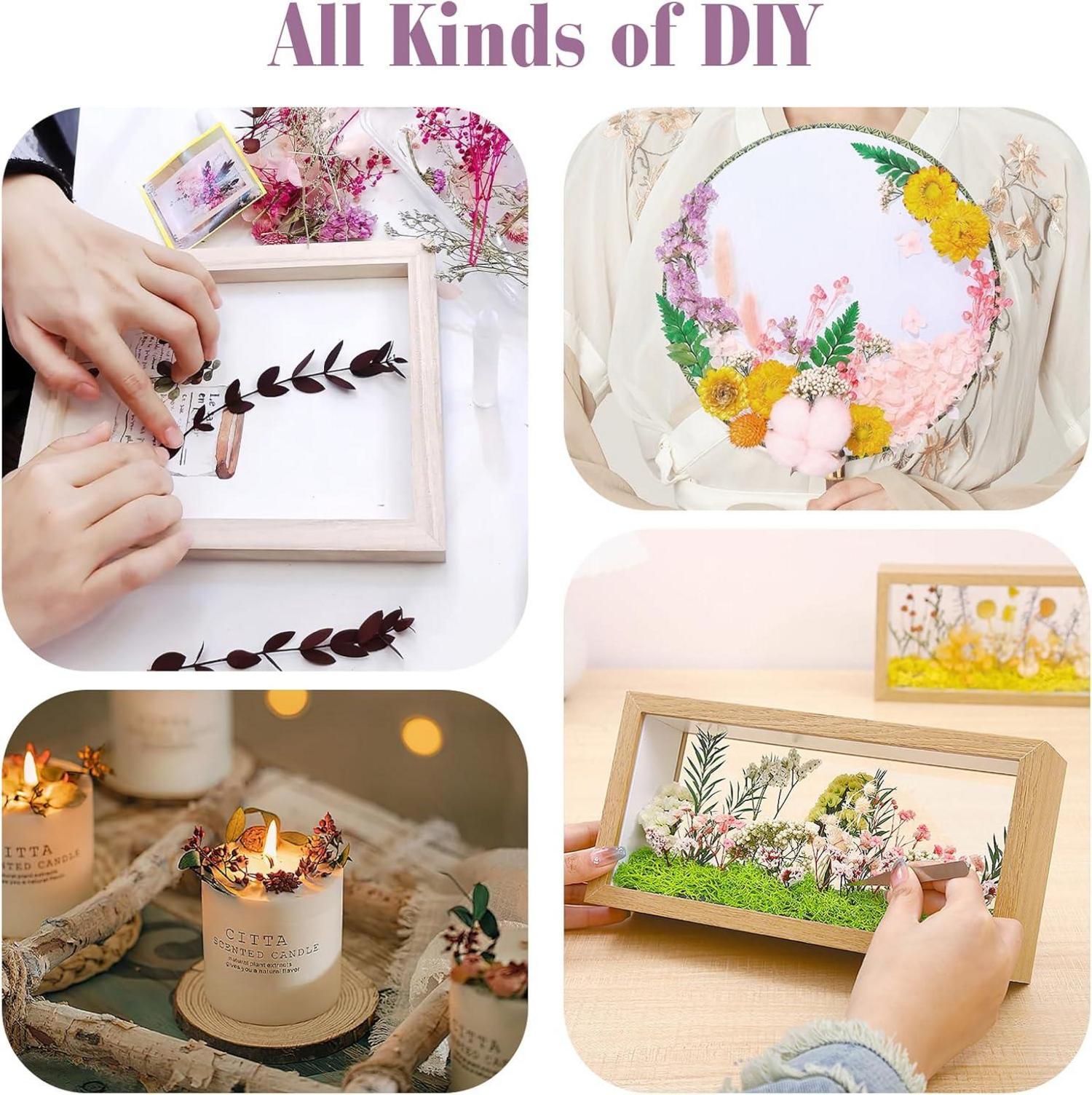 Getrocknete Blumen Natürliche Trockenblumen DIY Basteln Scrapbook