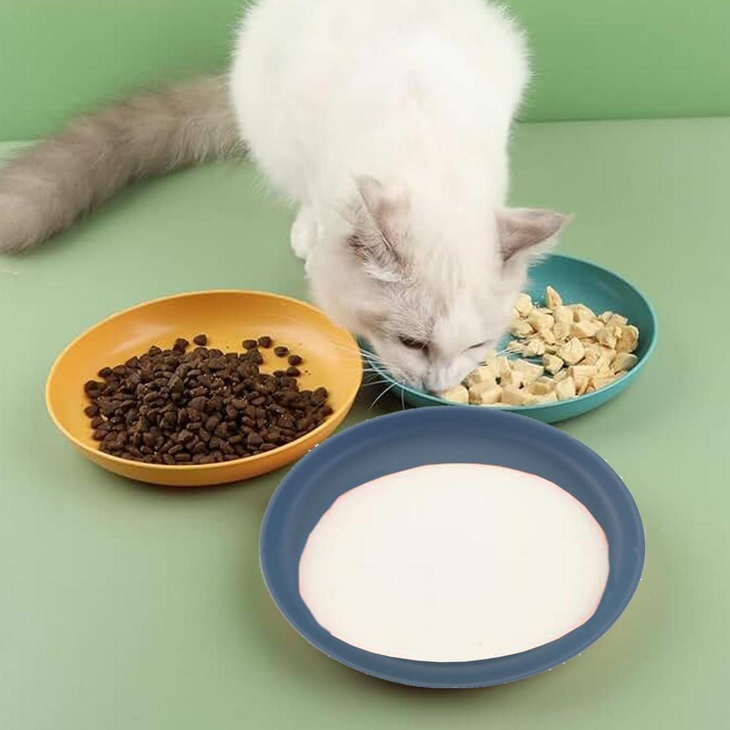 2er Set Flache Katzenschalen für Futter & Wasser, Katzenteller für