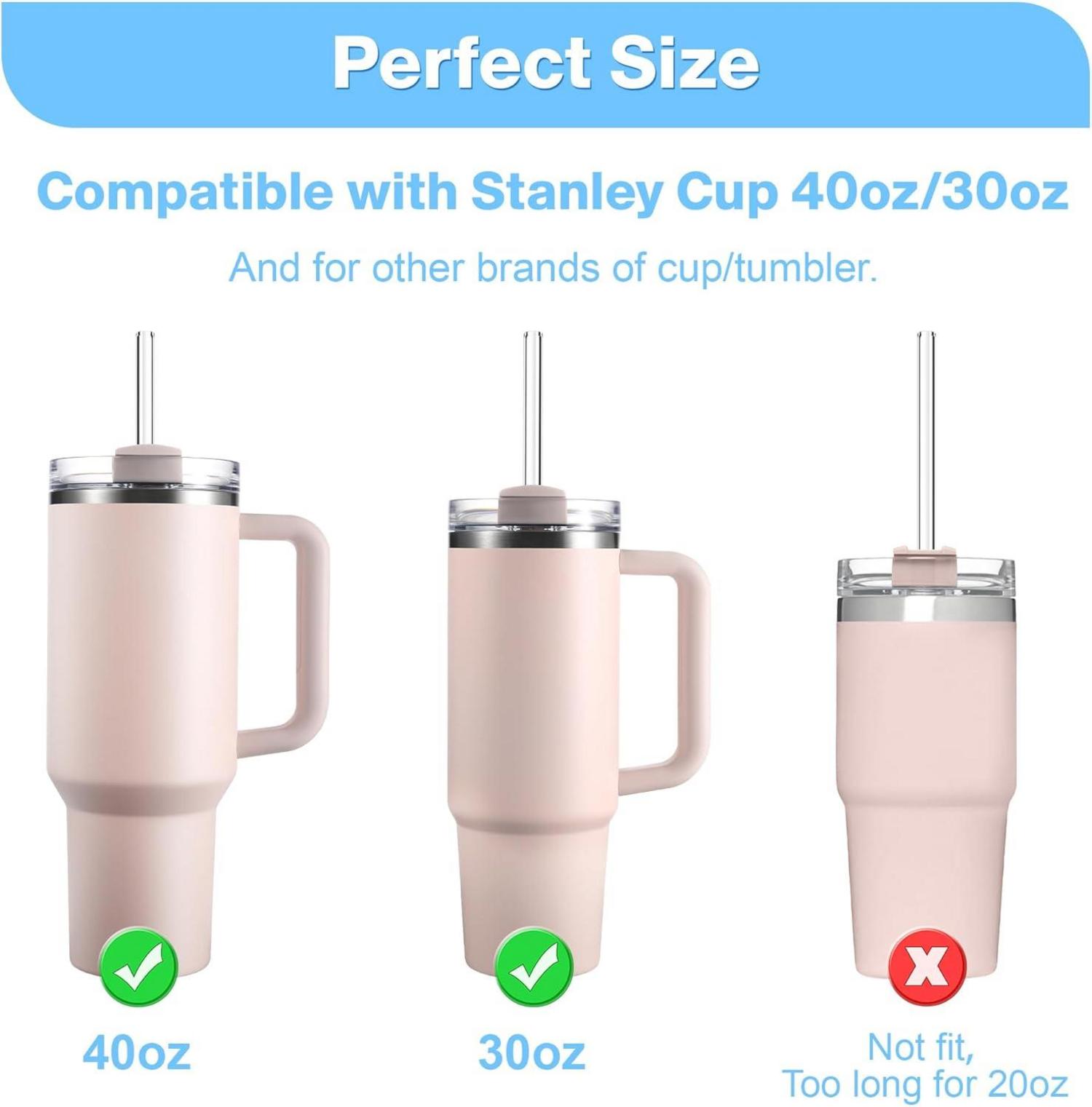 Glasstrohhalme Set für Stanley Cup 40oz 30oz, Zubehör Enthalten 10