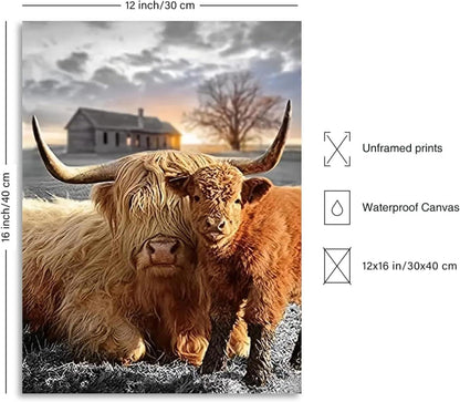 Rustikales Hochland Kuh Leinwandbild für Bauernhof Dekor 12x16
