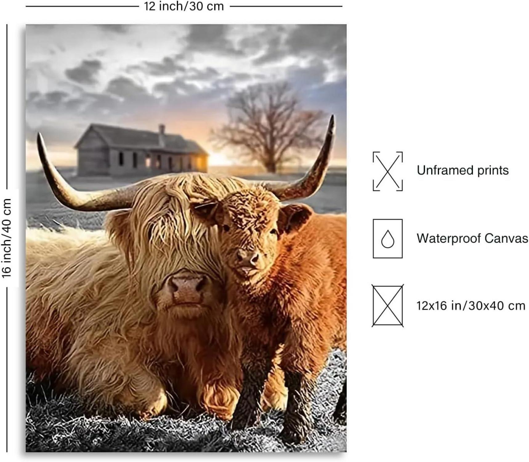 Rustikales Hochland Kuh Leinwandbild für Bauernhof Dekor 12x16
