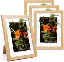 Bilderrahmen Set: 4x MDF Rahmen 15x20 cm, Acrylglas, Eichenoptik