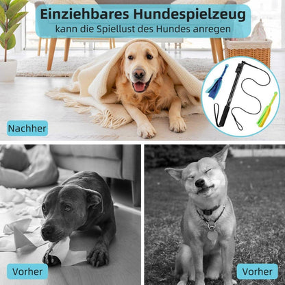 ETACCU Reizangel Hunde Große Hundespielzeug Ausziehbar Poleesimalverstellbar