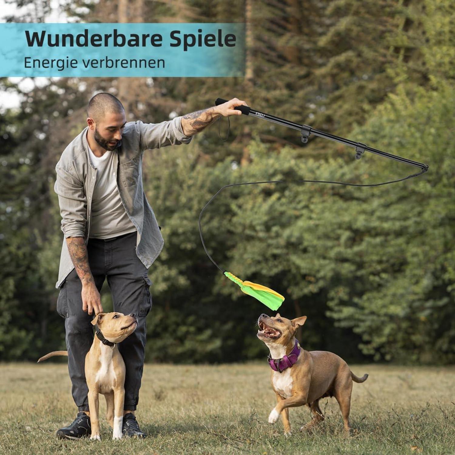 Reizangel Hunde Große Hundespielzeug Ausziehbar Flirt Pole mit Seil