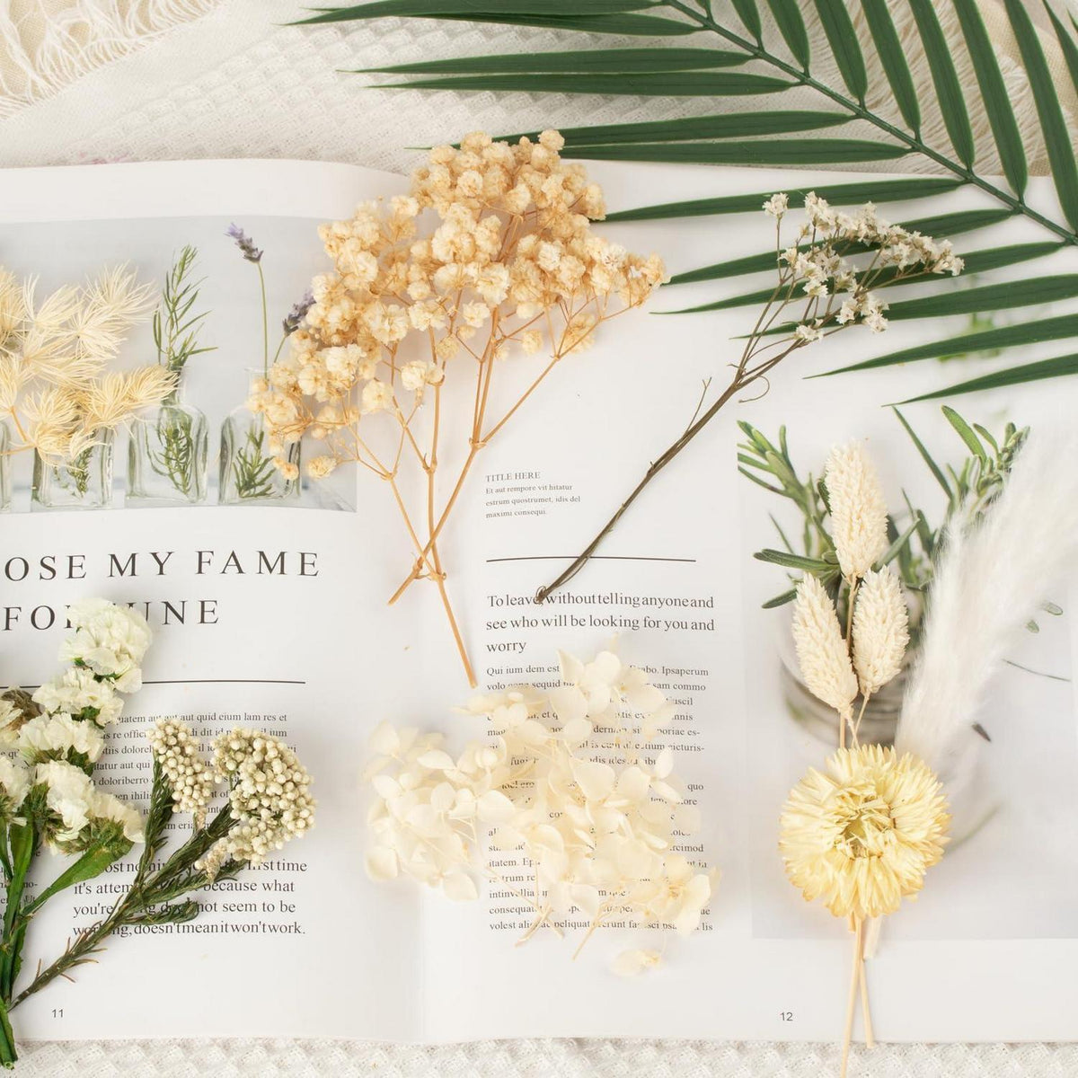 Getrocknete Blumen bunt – DIY Set für Deko & Basteln