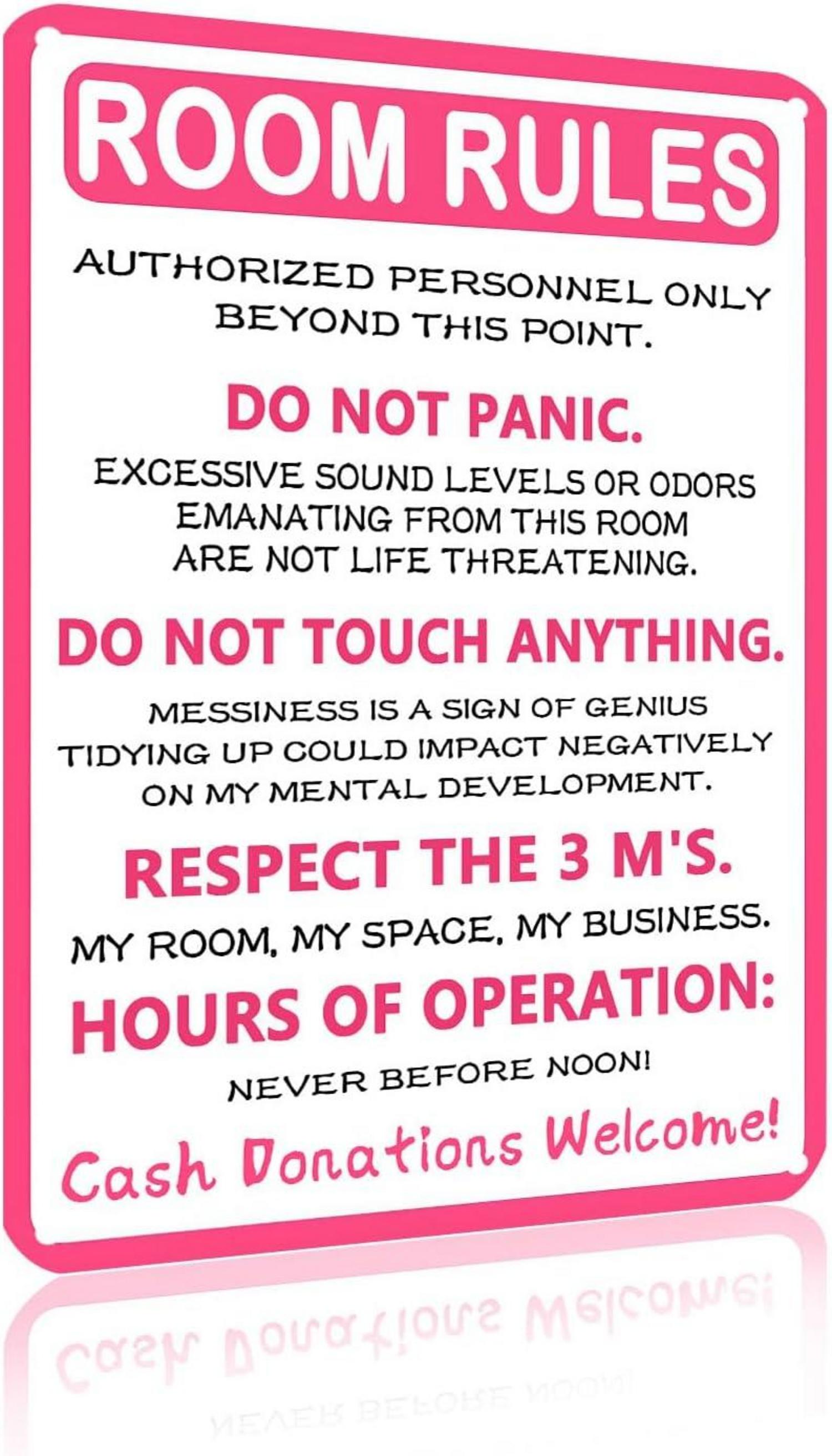 Lustiges Pink Room Rules Metallschild 20x30 cm Teenager Mädchen Jungen