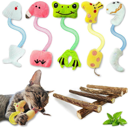 Katzenspielzeug Katzenminze Matatabi Stick Spielzeug für