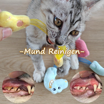 Winbarry Katzenspielzeug Matatabi Stick für Katzen spielen und kauen