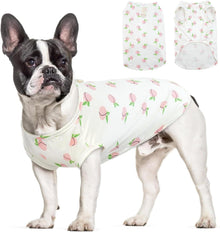 Hundepullover Kleine Hunde Rosa Pfirsich Atmungsaktiv XXXL